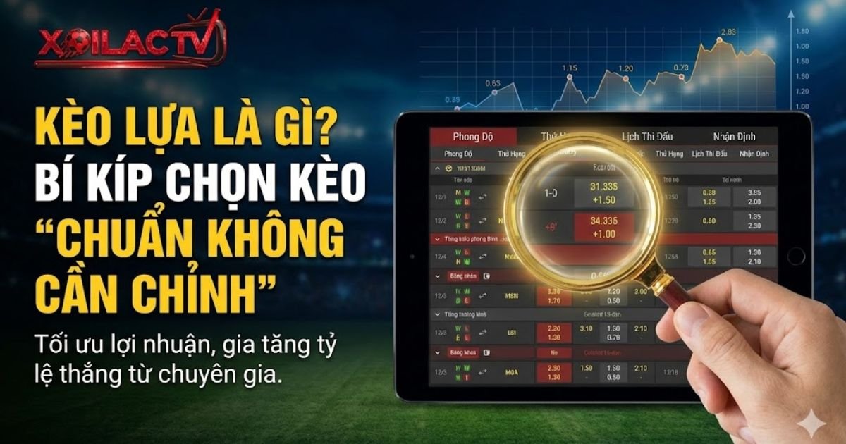 Kèo Lựa Là Gì? Bí Kíp Chọn Kèo Bóng Đá “Chuẩn Không Cần Chỉnh” Từ Cao Thủ