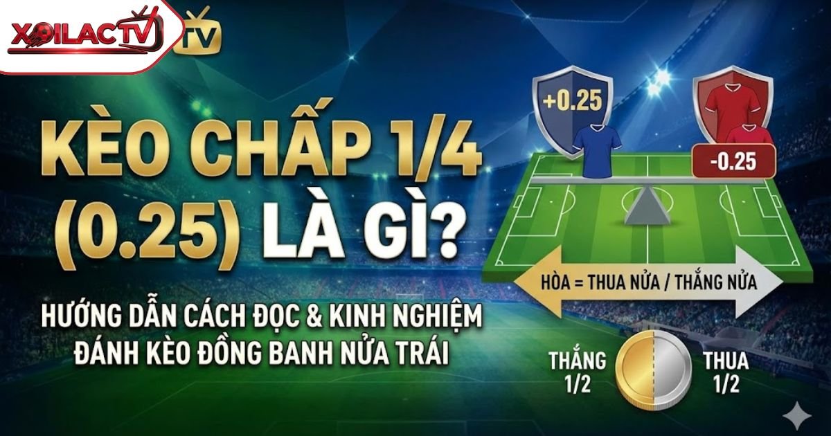 Kèo Chấp 1/4 Là Gì? Hướng Dẫn Cách Đọc Và Kinh Nghiệm Đánh Kèo Đồng Banh Nửa Trái “Bất Bại”