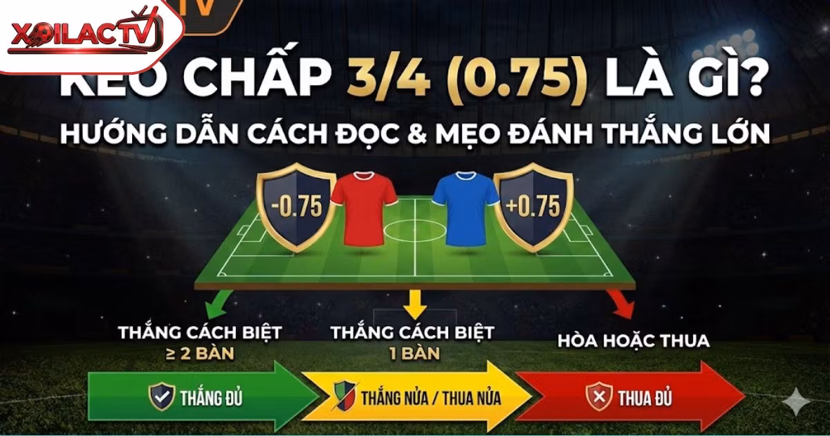 Kèo Chấp 3/4 (0.75) Là Gì? Hướng Dẫn Cách Đọc Kèo Nửa Một & Mẹo Đánh Thắng Lớn