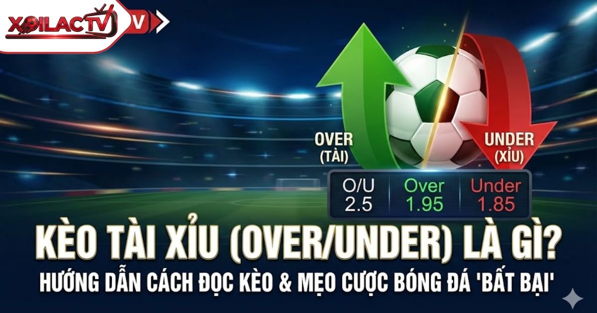 Kèo Tài Xỉu (Over/Under) Là Gì? Hướng Dẫn Cách Đọc Kèo Và Mẹo Cược Bóng Đá “Bất Bại”
