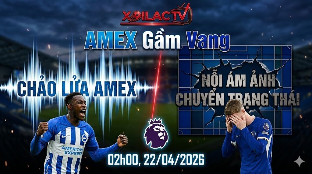 Nhận định chiến thuật trận đấu Brighton vs Chelsea lúc 02h00 ngày 22/04/2026. Phân tích điểm nóng và xem trực tiếp bóng đá tốc độ cao tại Xoilac TV.